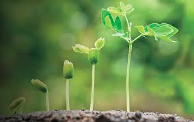 Keep Growing! 